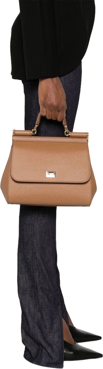 Dolce & Gabbana Bags Brown Bruin