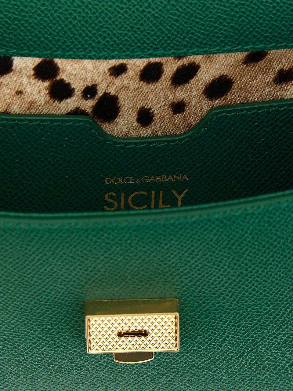 Dolce & Gabbana Calf Leather Trapezoidal Leopard Print Handbag Groen