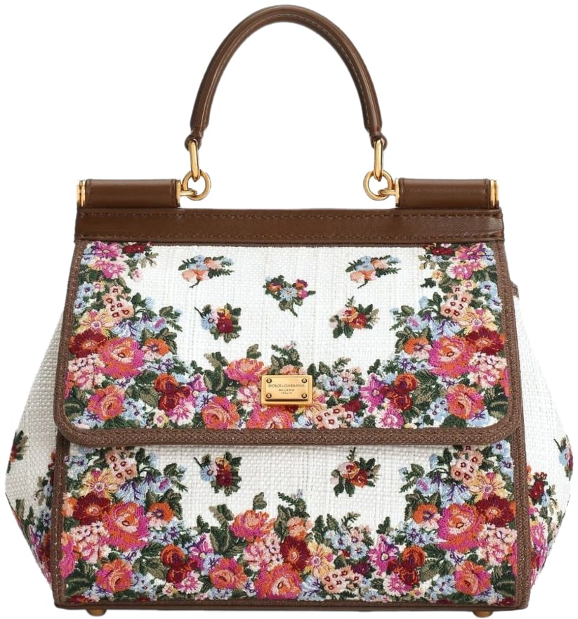 Dolce & Gabbana Bags Brown Bruin