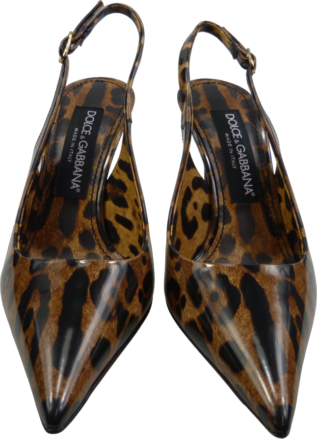 Dolce & Gabbana Tacchi a punta Animalier Dierenprint