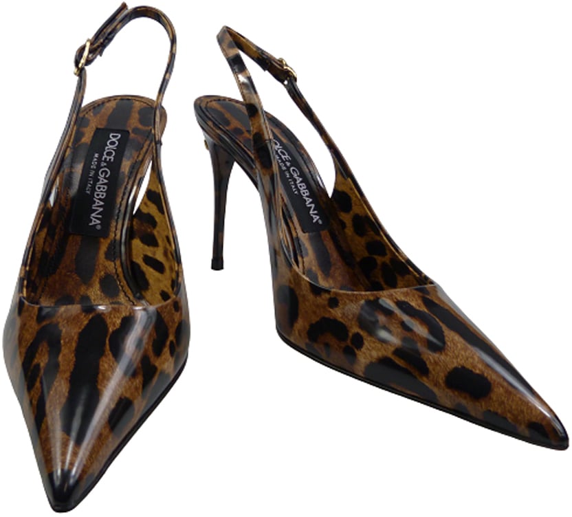 Dolce & Gabbana With Heel Brown Bruin