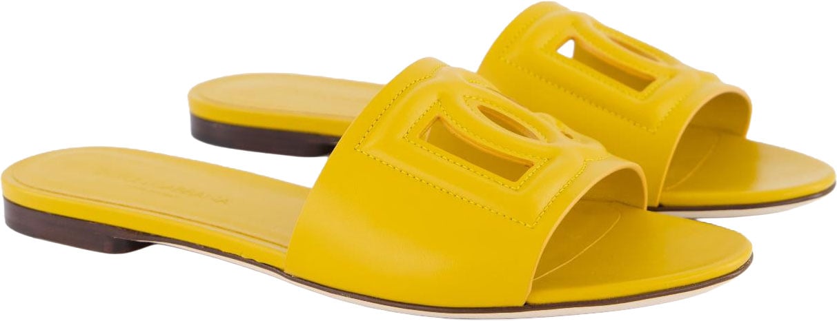 Dolce & Gabbana Dolce&Gabbana Dames D&G Logo Flat Slide Geel Neutraal