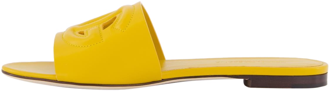 Dolce & Gabbana Dames D&G Logo Flat Slide Geel Neutraal