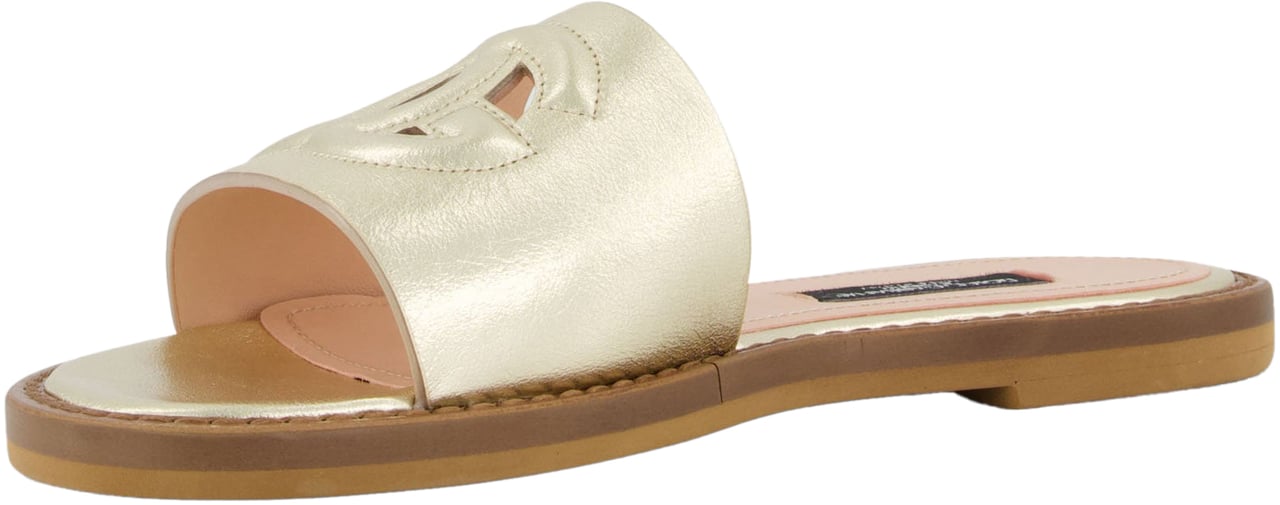 Dolce & Gabbana Dolce & Gabbana Meisjes Slippers In Goud Metallic