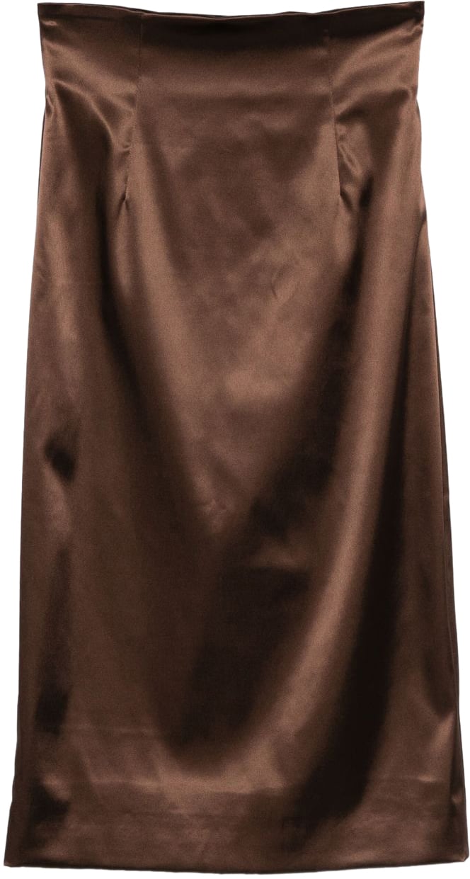 Dolce & Gabbana Dolce & Gabbana Gonne Marrone Bruin