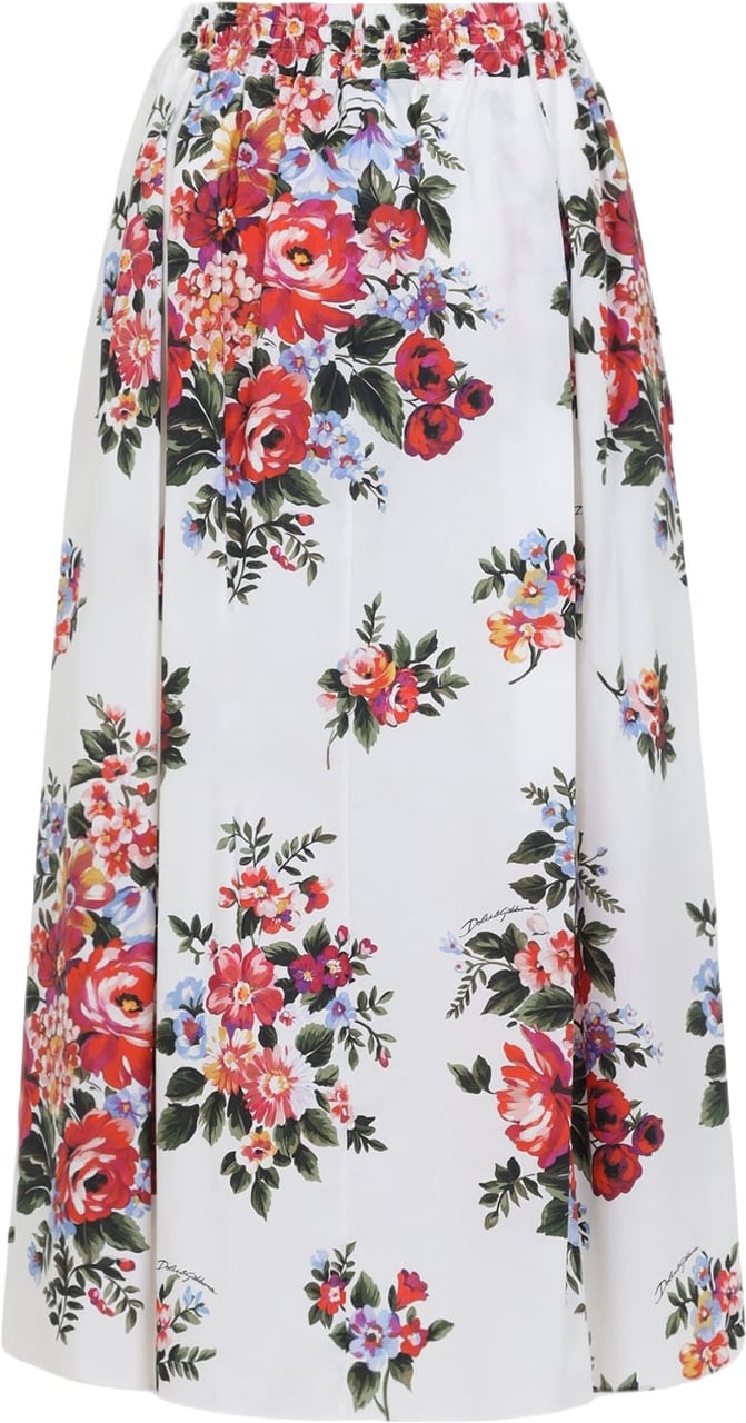 Dolce & Gabbana Dolce & Gabbana Skirt Divers