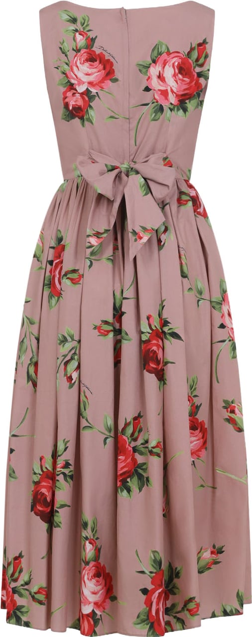 Dolce & Gabbana Dolce & Gabbana Dress Divers