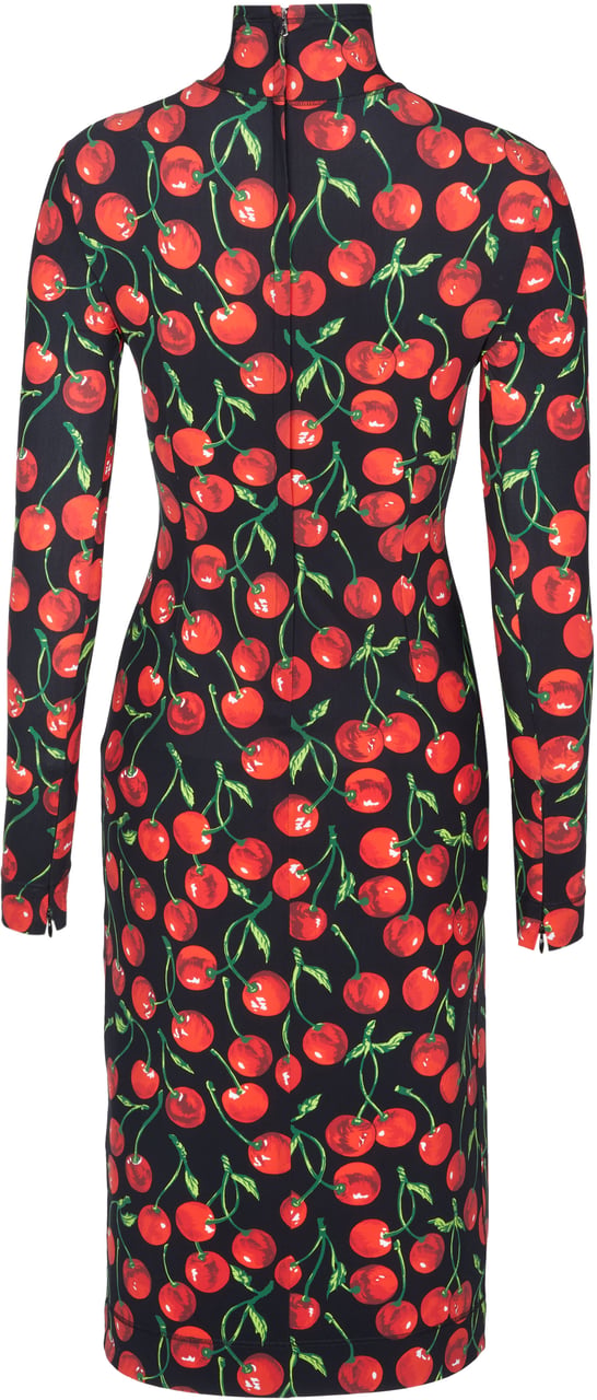Dolce & Gabbana Kleid Zwart