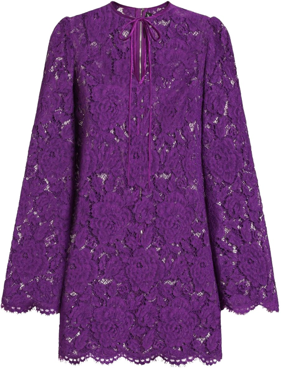 Dolce & Gabbana Dresses Purple Paars