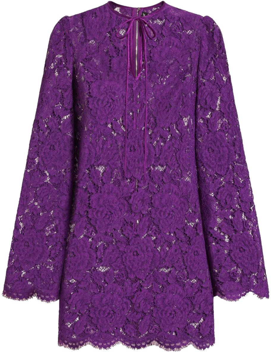 Dolce & Gabbana Dresses Purple Paars