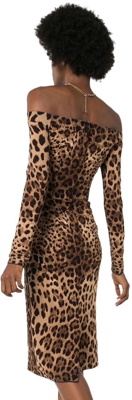 Dolce & Gabbana Dresses Brown Bruin