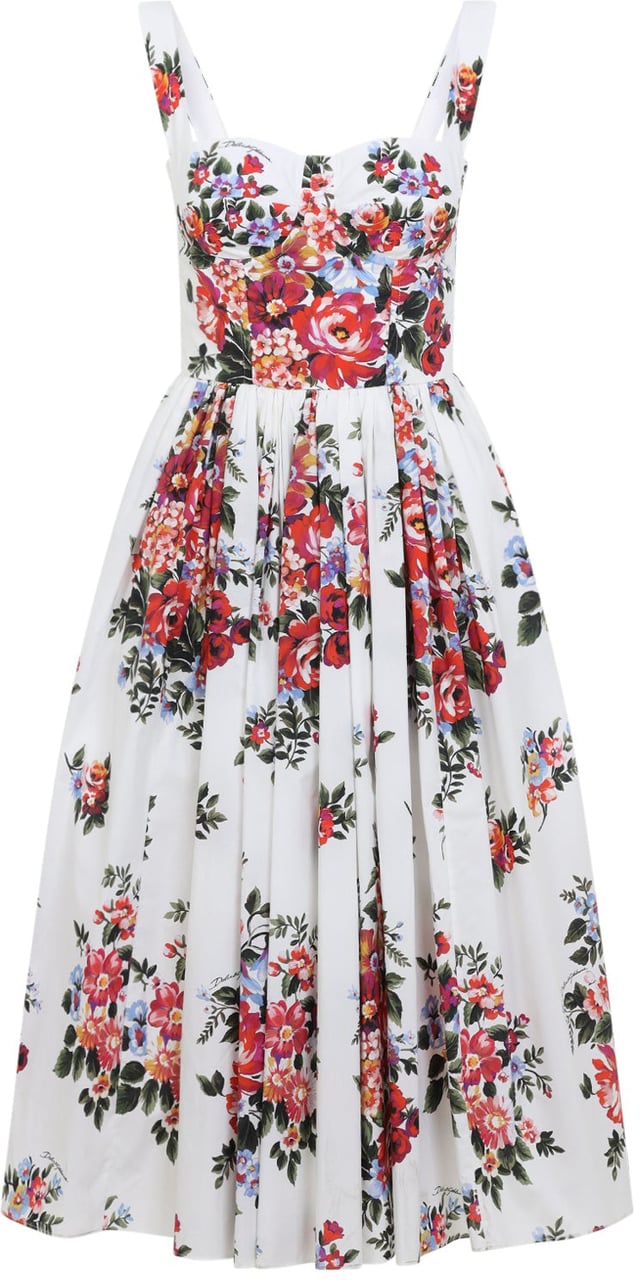 Dolce & Gabbana Dolce & Gabbana Dress Divers