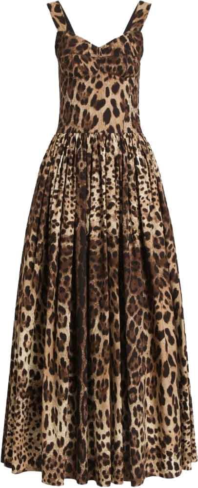 Dolce & Gabbana Dresses Leopard Print Beige