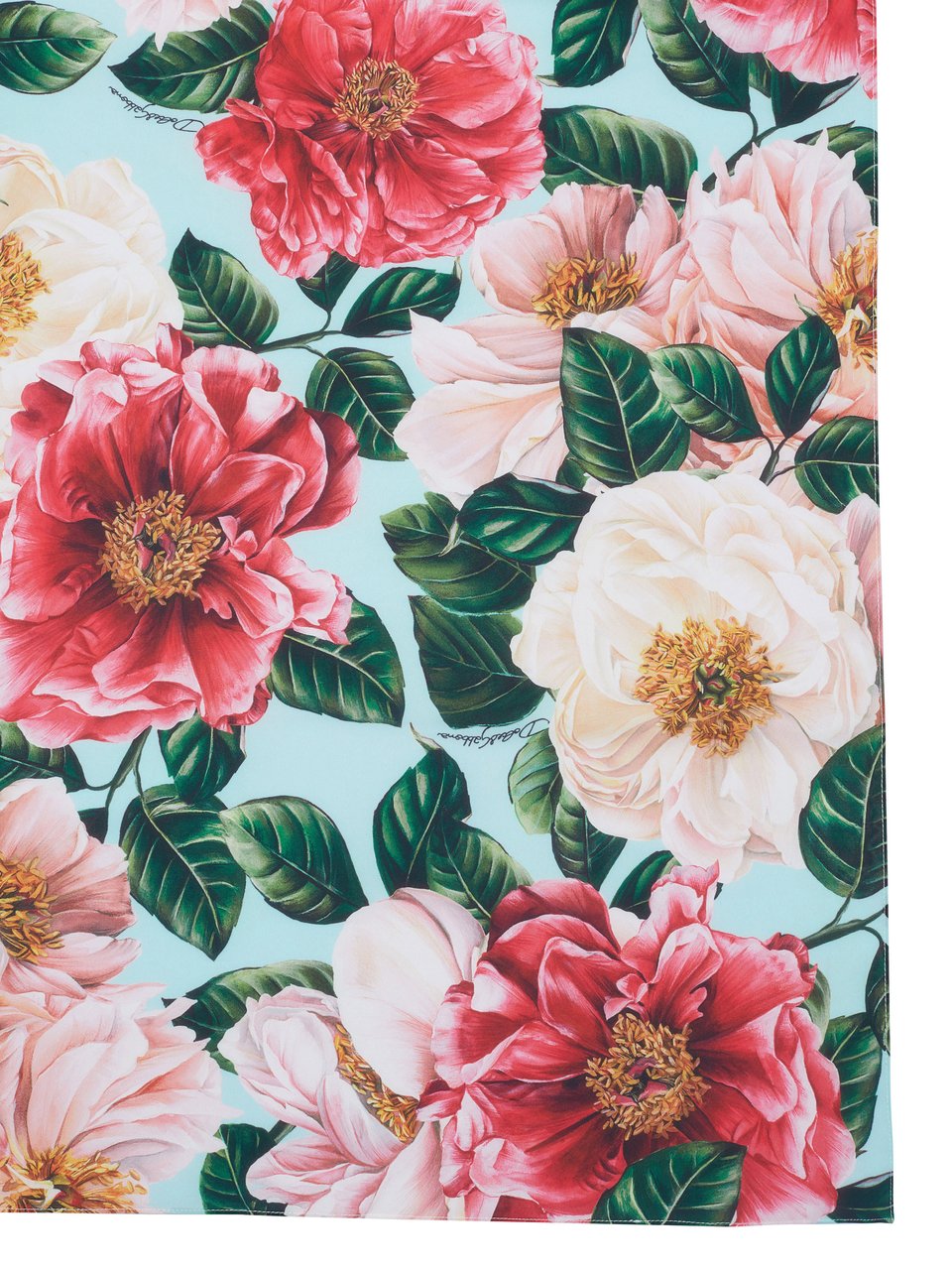 Dolce & Gabbana Dolce & Gabbana Schal Lichtblauw