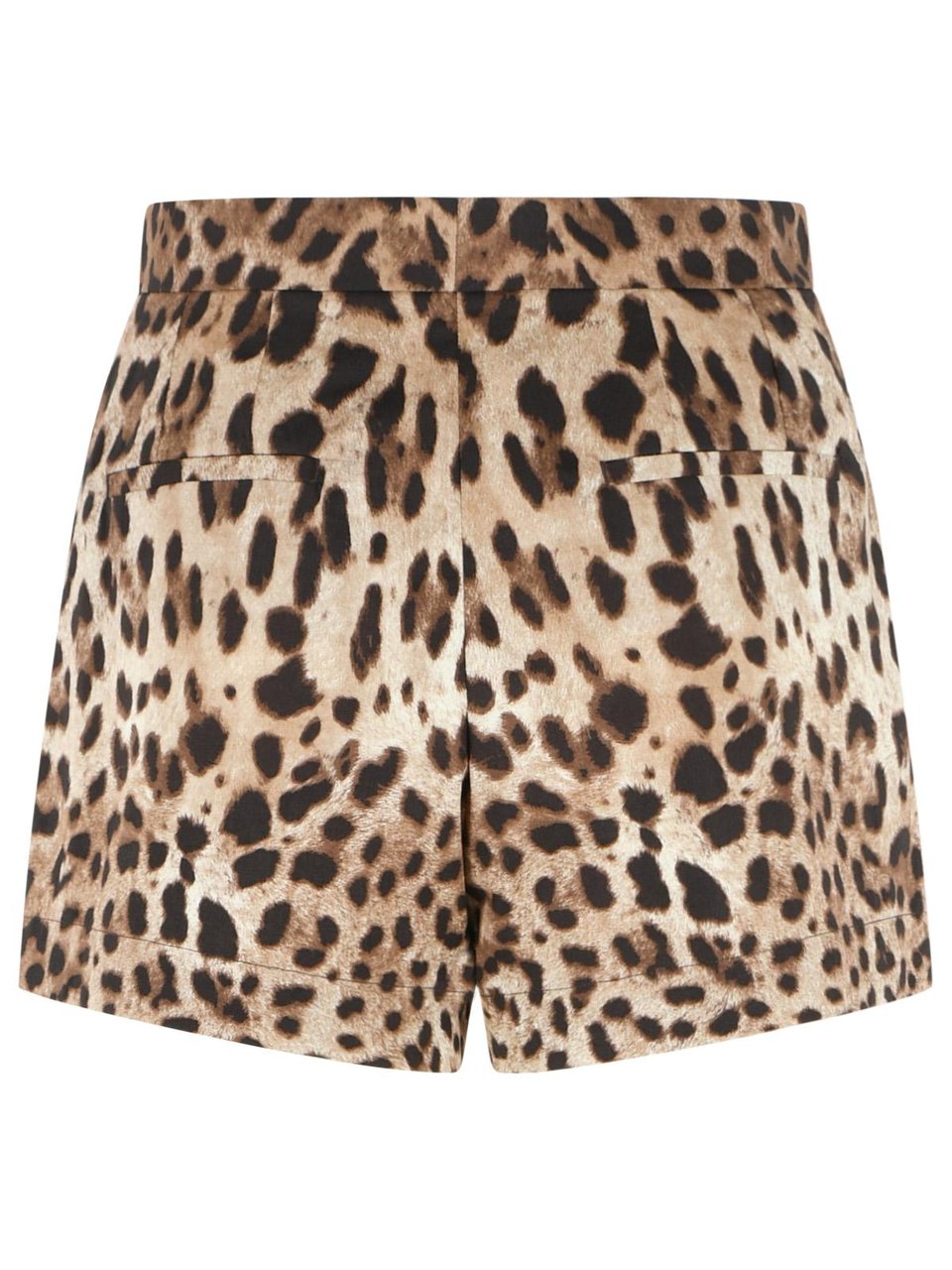 Dolce & Gabbana Leopard Print Cotton Shorts Zwart