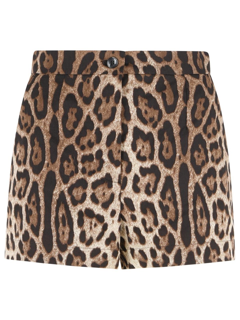 Dolce & Gabbana Leopard Print Cotton Shorts Zwart