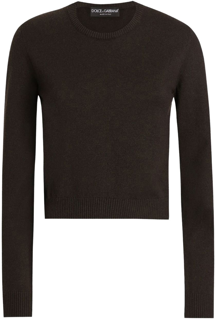 Dolce & Gabbana Dolce & Gabbana Maglie Marrone Bruin