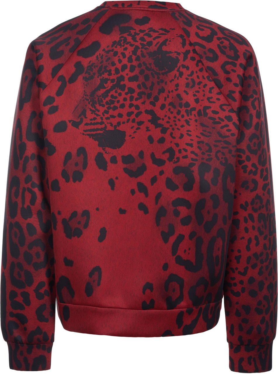 Dolce & Gabbana Dolce & Gabbana Pullover Rood