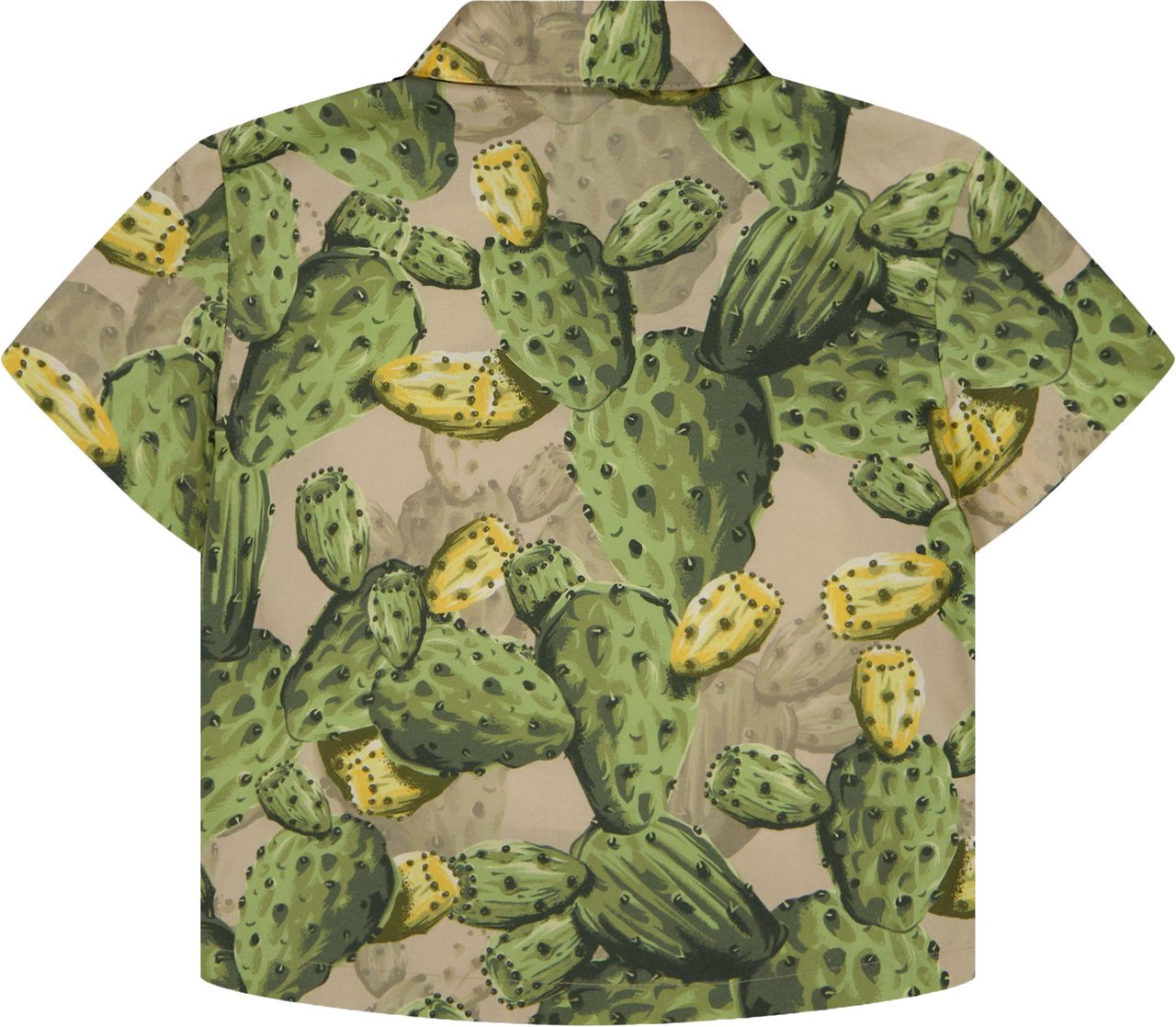Dolce & Gabbana Baby Jongens Blouse In Groen Groen