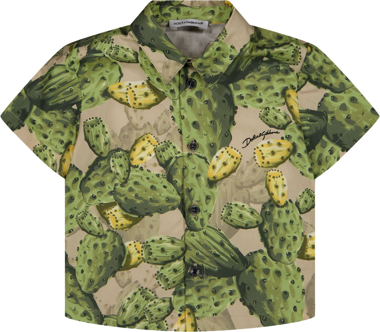 Dolce & Gabbana Baby Jongens Blouse In Groen Groen