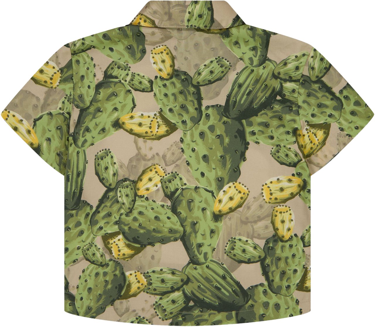 Dolce & Gabbana Dolce & Gabbana Baby Jongens Blouse In Groen Groen