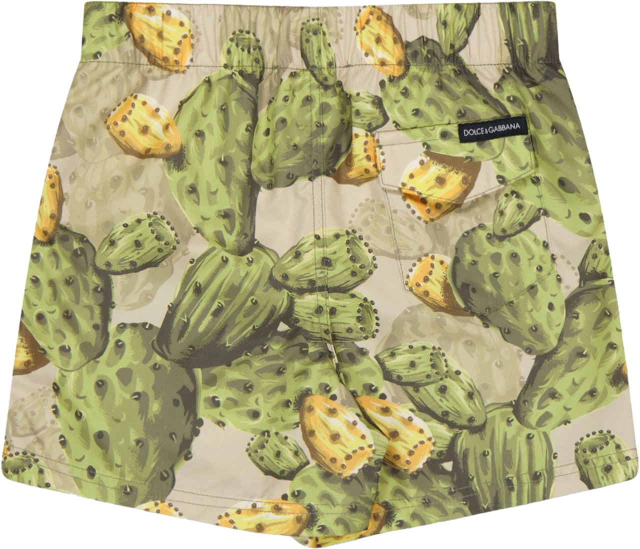 Dolce & Gabbana Dolce & Gabbana Baby Jongens Zwemkleding In Groen Groen