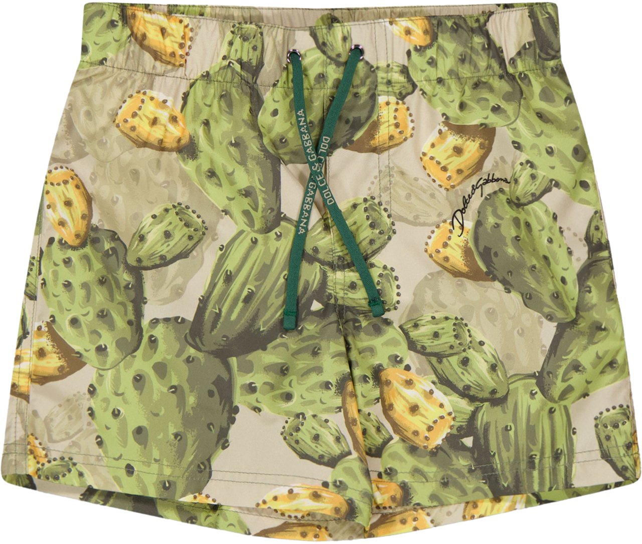 Dolce & Gabbana Dolce & Gabbana Baby Jongens Zwemkleding In Groen Groen