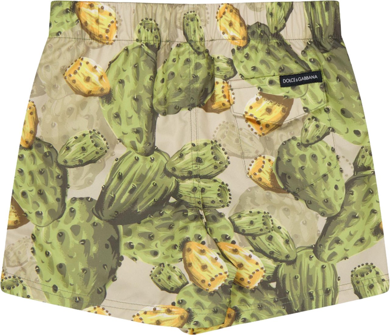 Dolce & Gabbana Baby Jongens Zwemkleding In Groen Groen