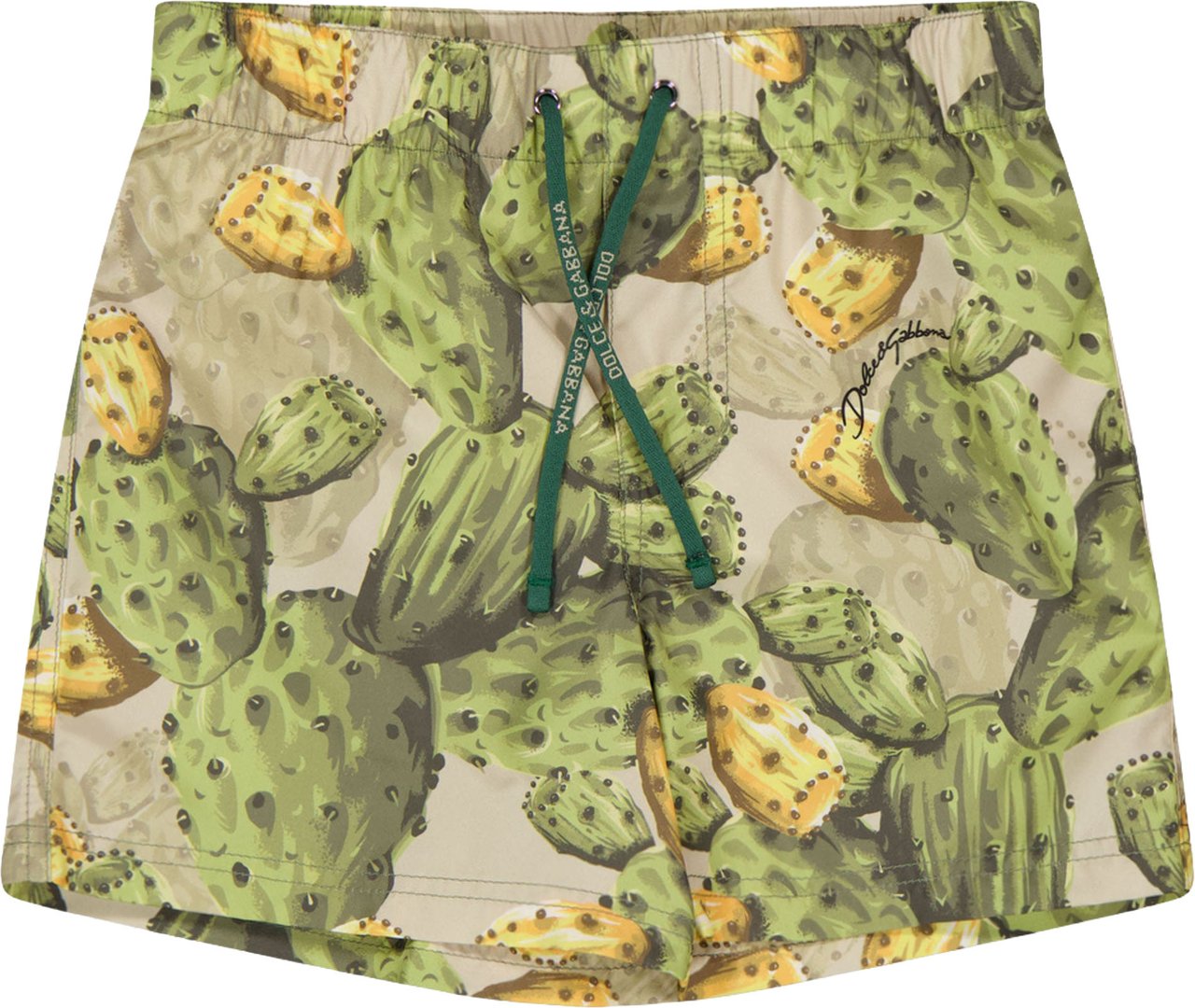 Dolce & Gabbana Baby Jongens Zwemkleding In Groen Groen