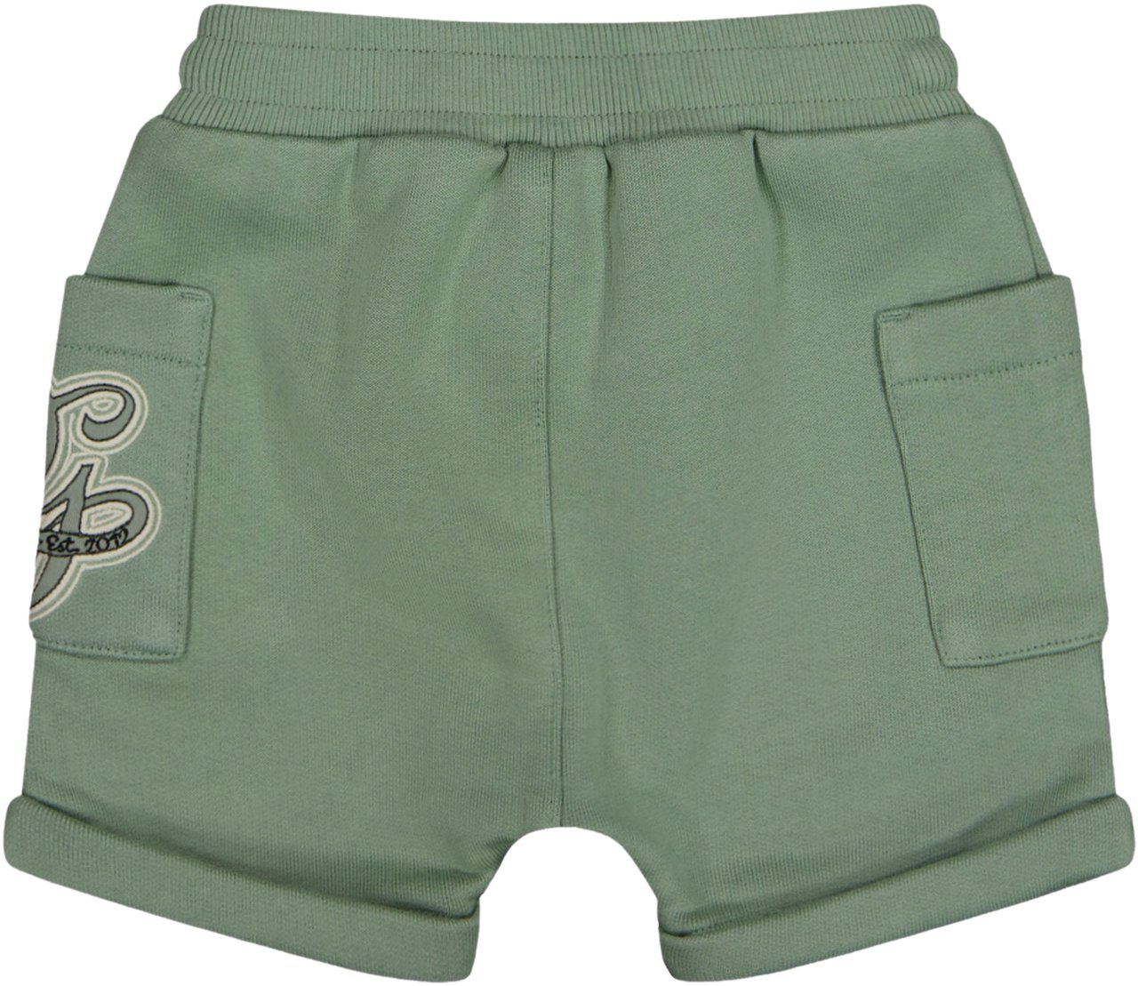 Dolce & Gabbana Dolce & Gabbana Baby Jongens Shorts In Licht Groen Groen