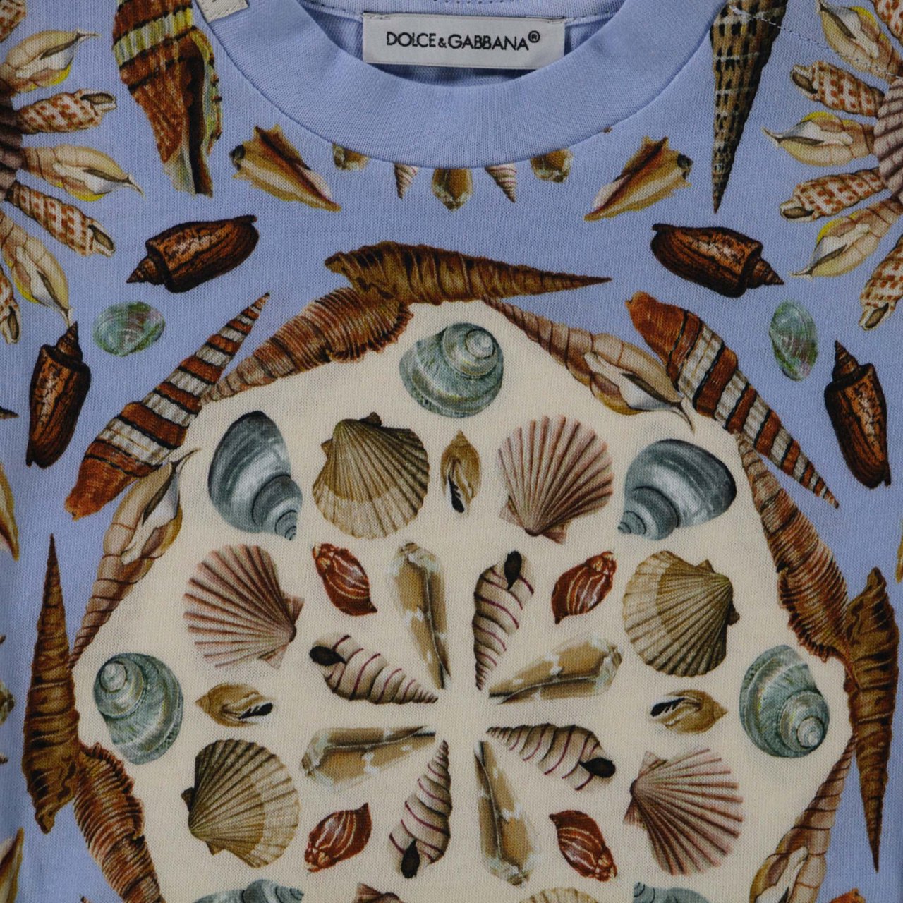 Dolce & Gabbana Dolce & Gabbana Baby Jongens T-Shirt In Licht Blauw Blauw