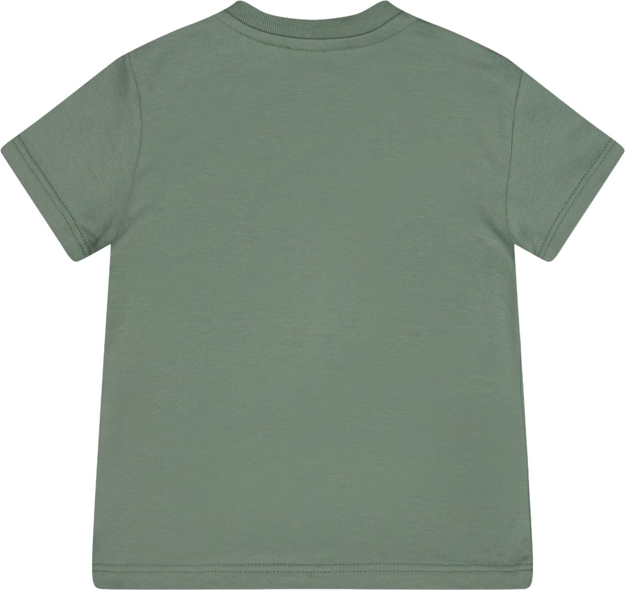 Dolce & Gabbana Dolce & Gabbana Baby Jongens T-Shirt In Licht Groen Groen