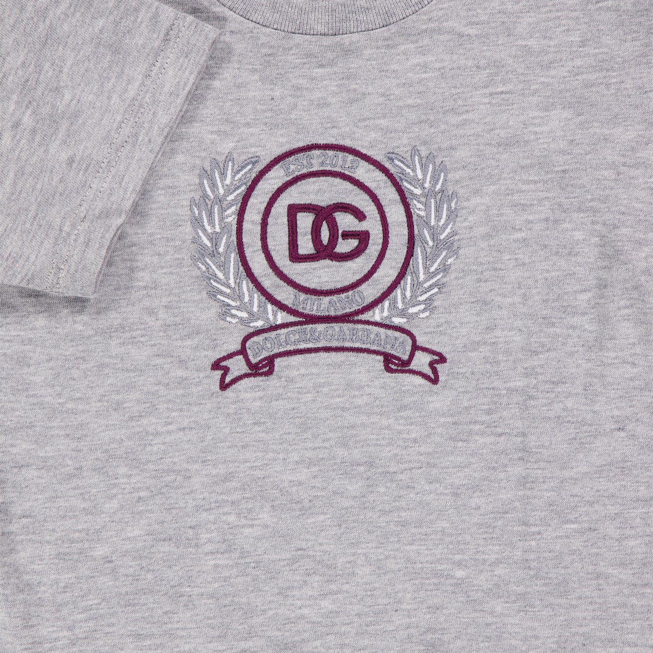 Dolce & Gabbana Dolce & Gabbana Baby Jongens T-Shirt In Grijs Grijs