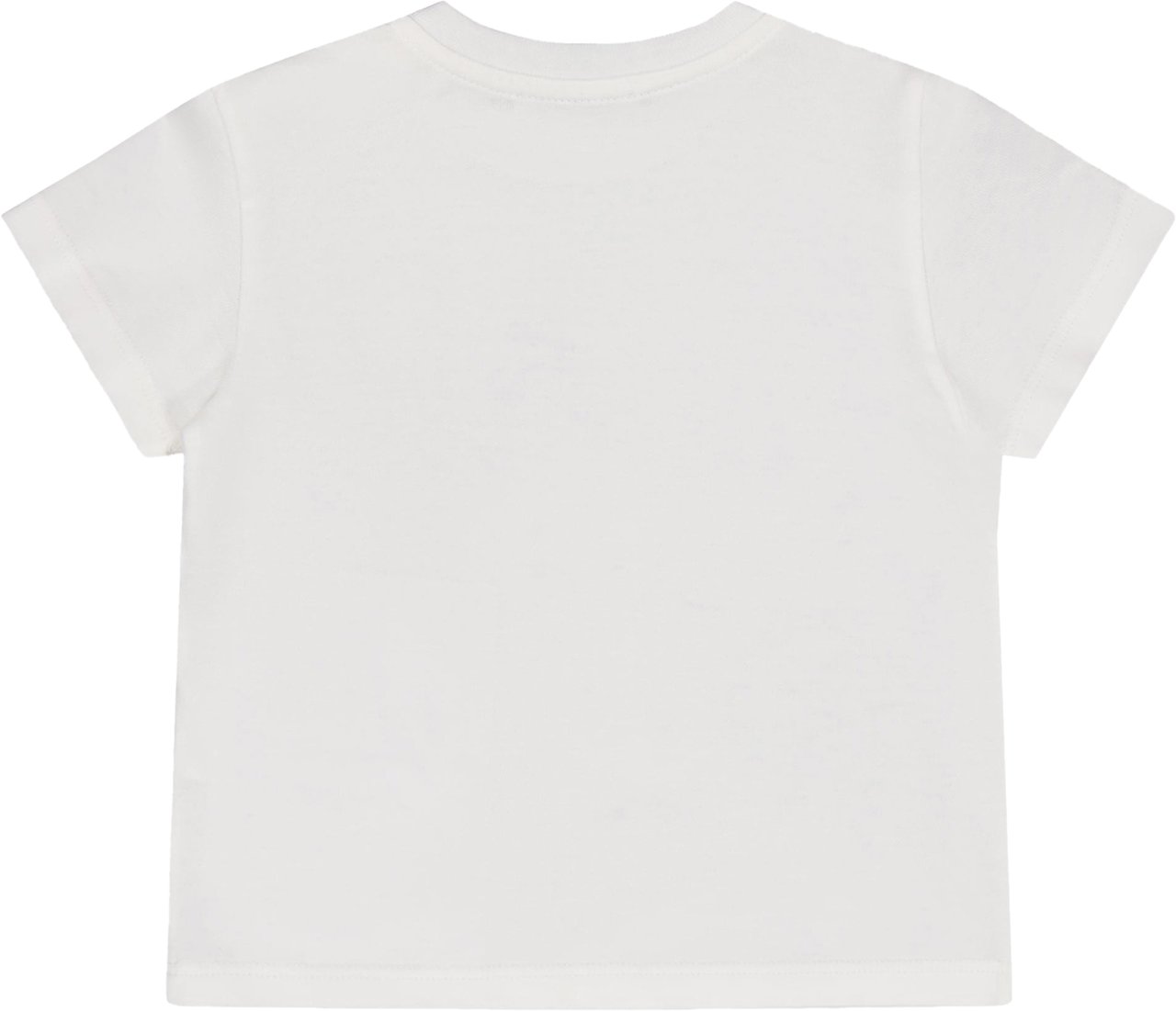 Dolce & Gabbana Dolce & Gabbana Baby Jongens T-Shirt In Wit Wit