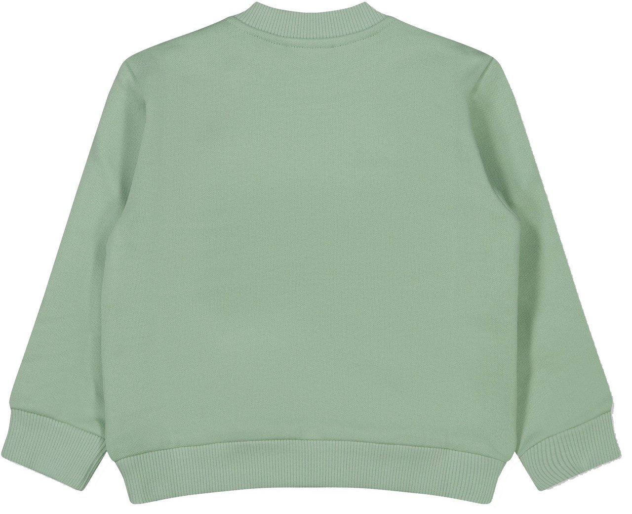 Dolce & Gabbana Dolce & Gabbana Baby Jongens Trui In Mint Groen