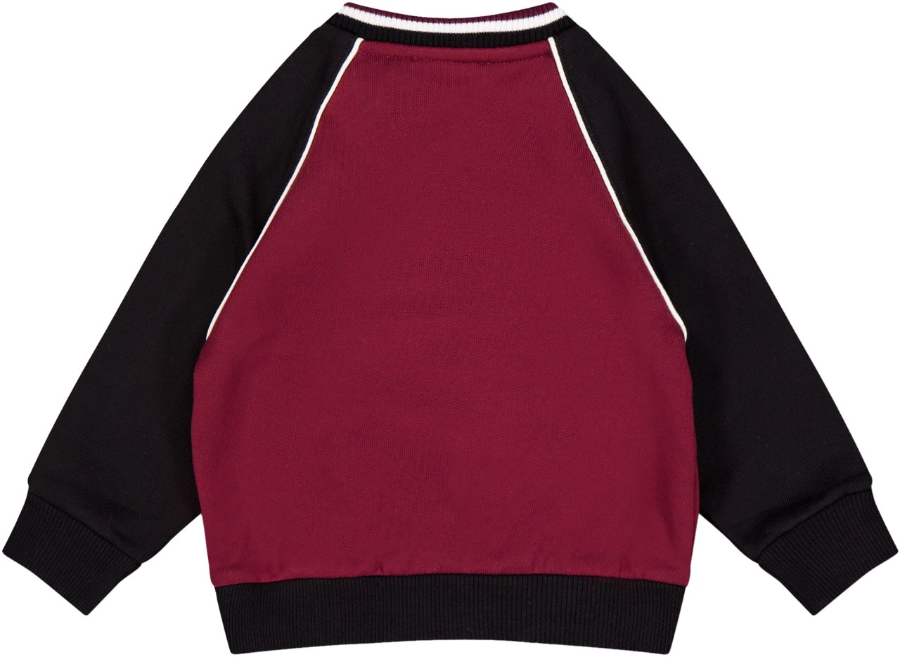 Dolce & Gabbana Dolce & Gabbana Baby Jongens Trui In Bordeaux Rood