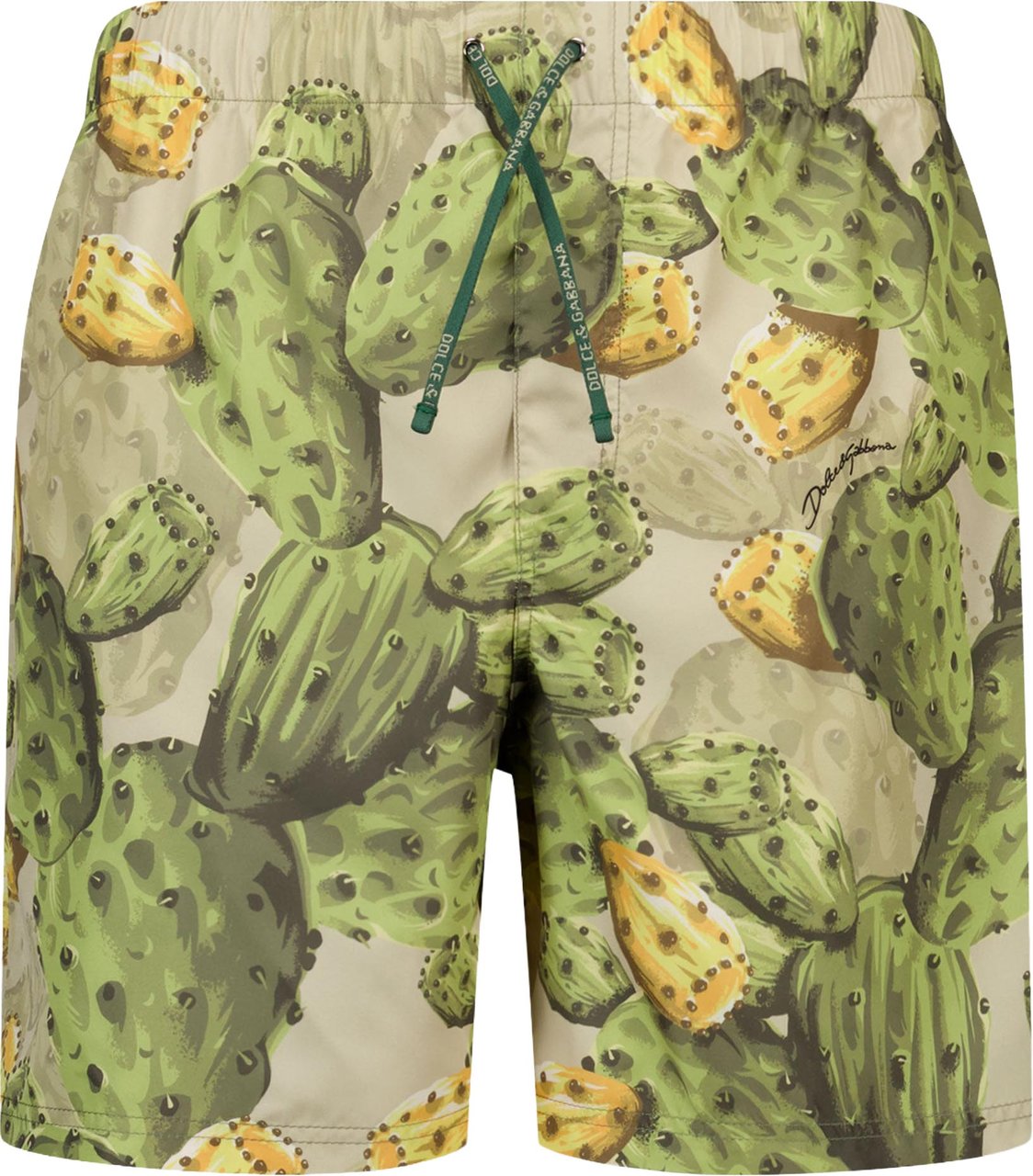 Dolce & Gabbana Kinder Jongens Zwemkleding In Groen Groen