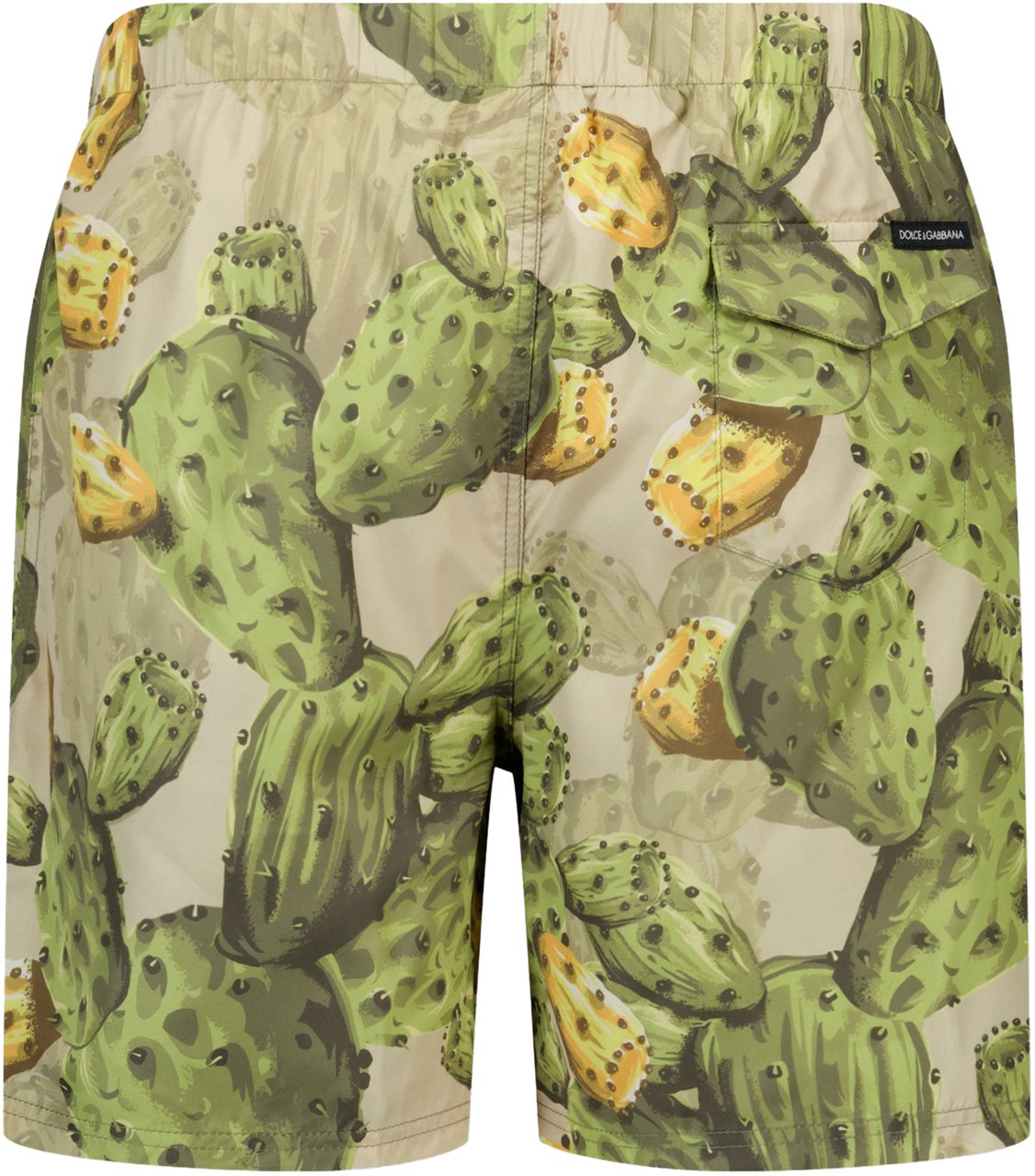 Dolce & Gabbana Dolce & Gabbana Kinder Jongens Zwemkleding In Groen Groen