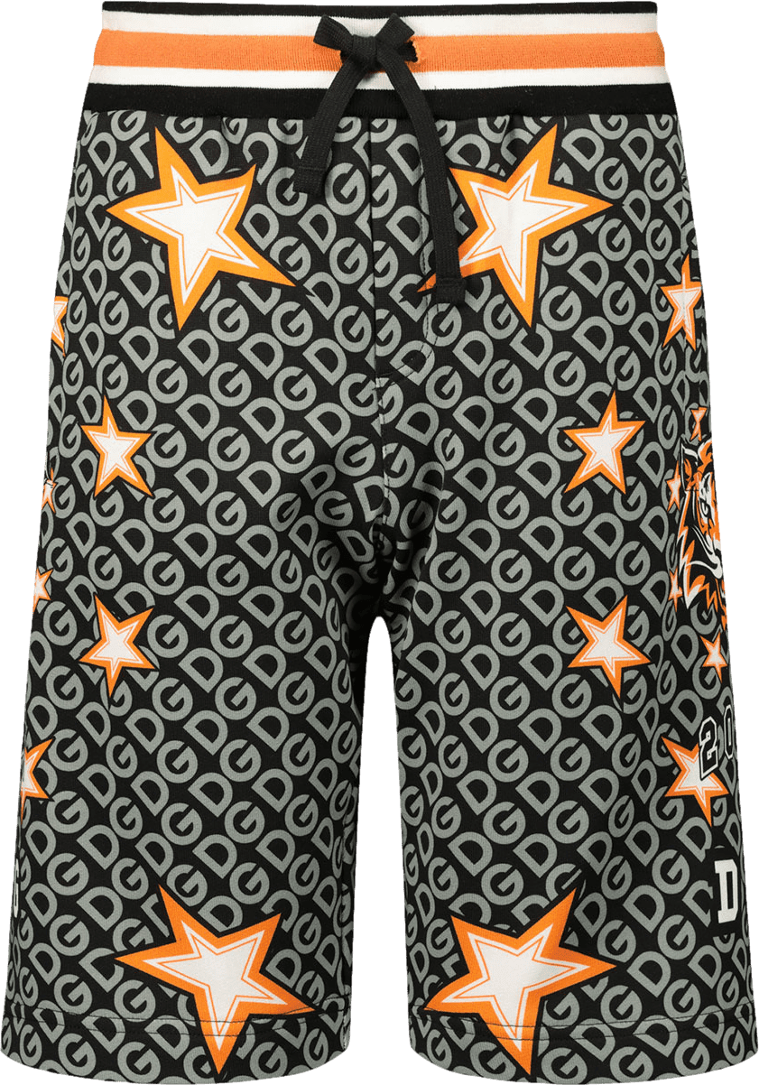 Dolce & Gabbana Dolce & Gabbana Kinder Jongens Shorts Grijs Grijs