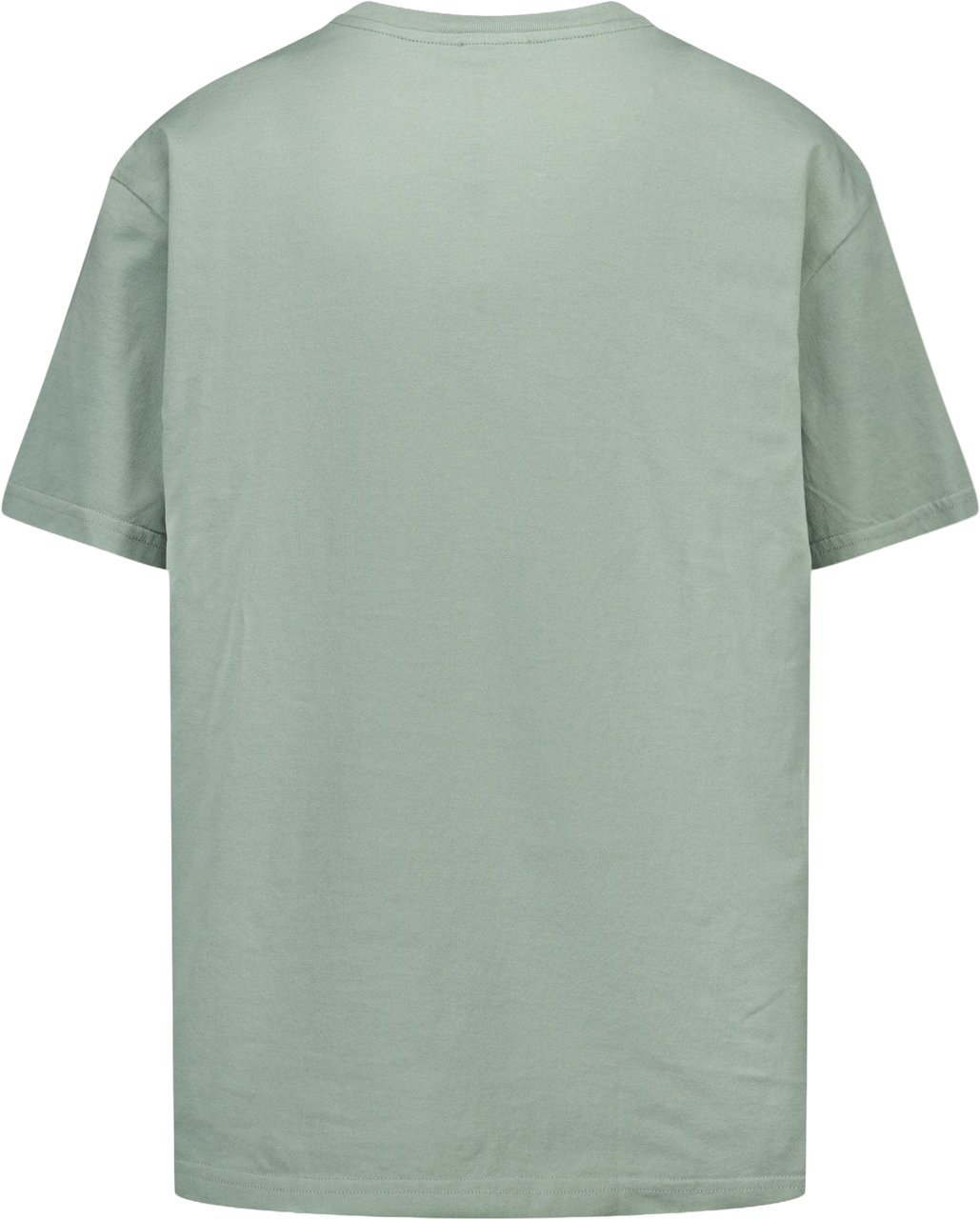 Dolce & Gabbana Dolce & Gabbana Kinder Jongens T-Shirt In Licht Groen Groen