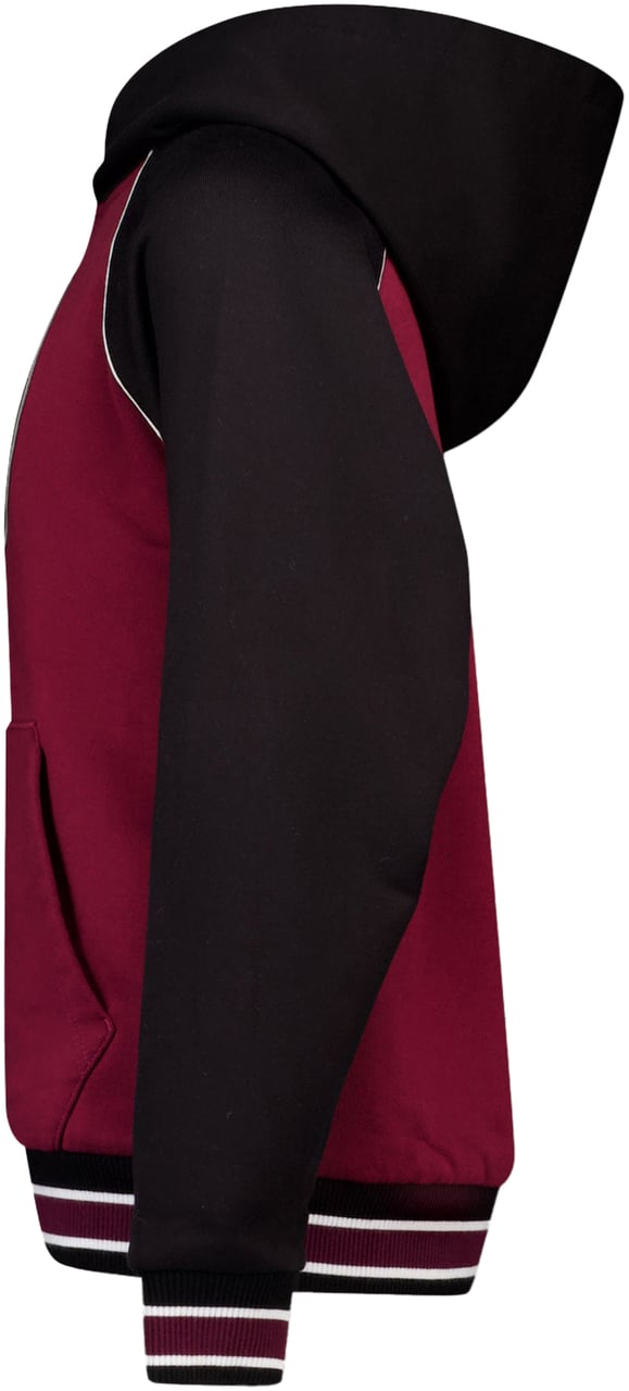 Dolce & Gabbana Dolce & Gabbana Kinder Jongens Trui In Bordeaux Rood