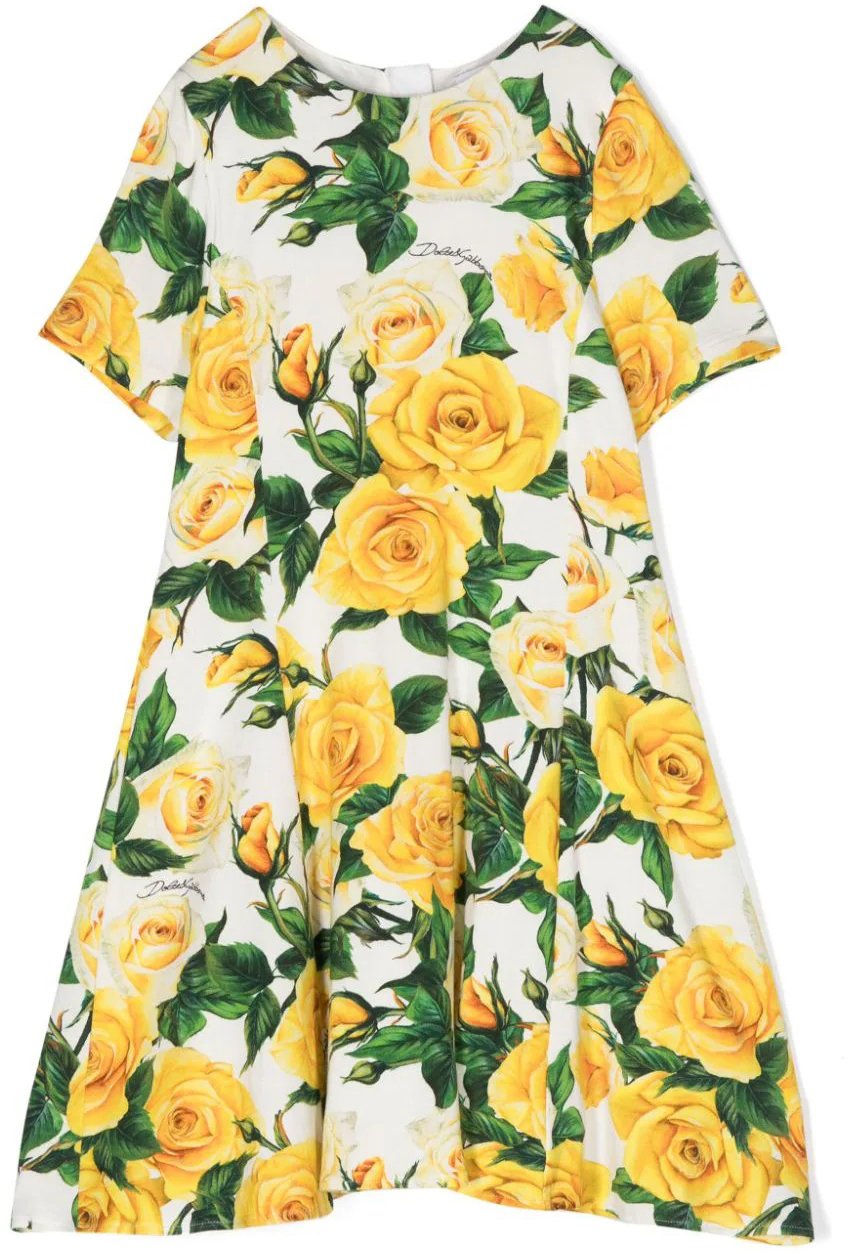 Dolce & Gabbana abito maniche corte divers Divers