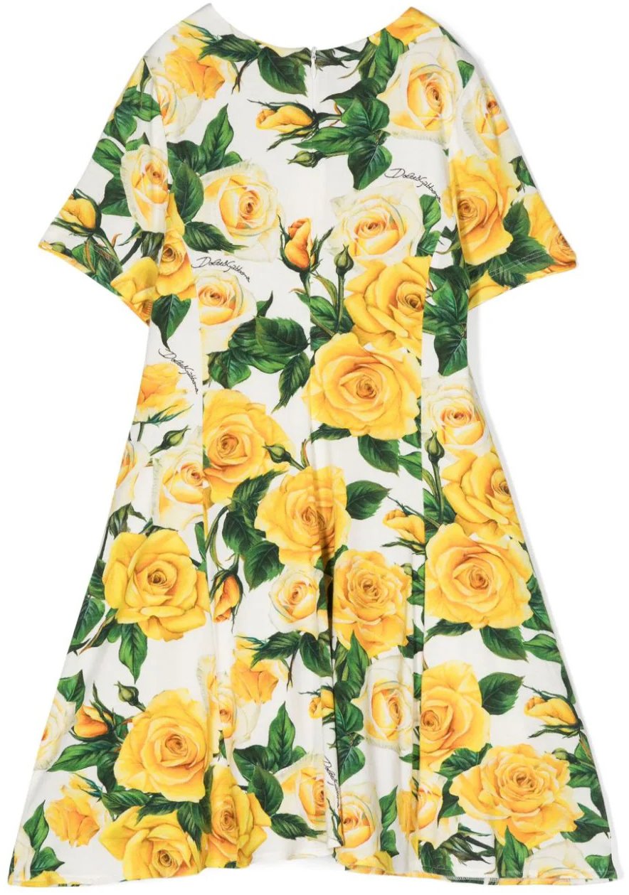 Dolce & Gabbana abito maniche corte divers Divers