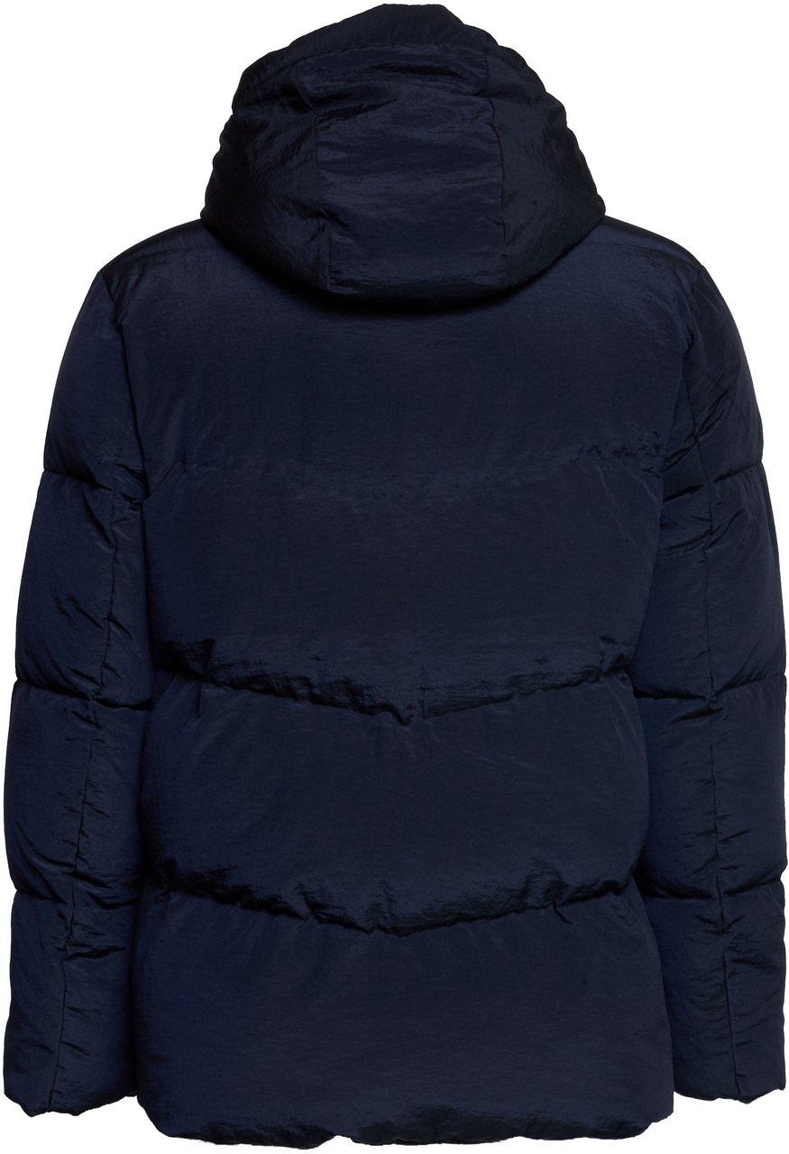 Dondup Puffy Jacket Blauw