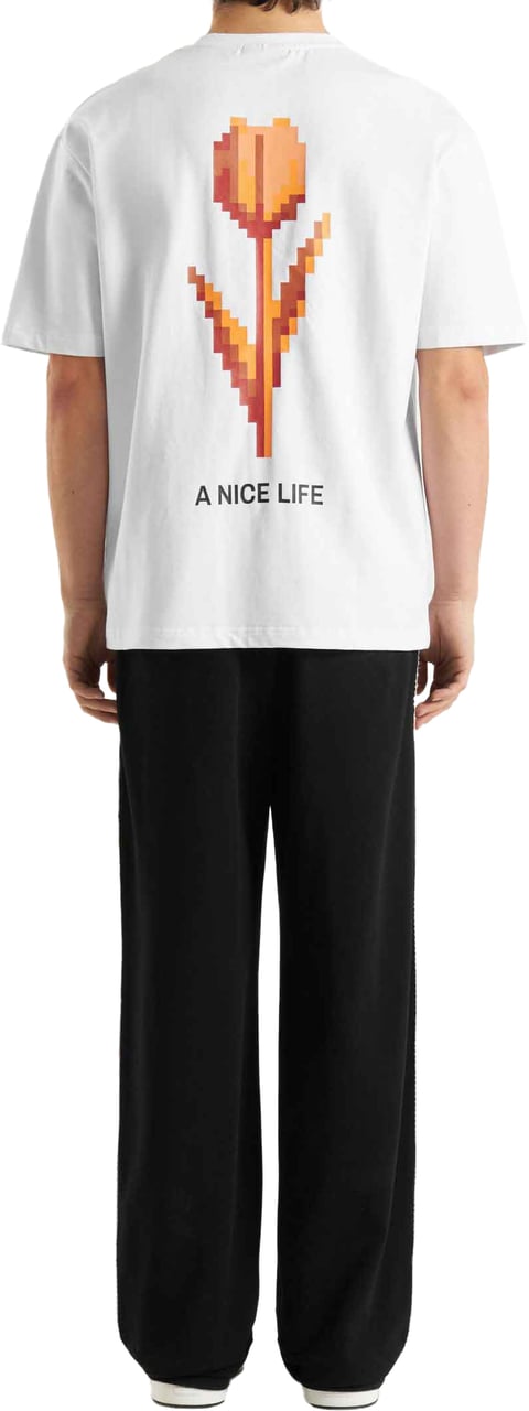 Don't Waste Culture Talora | White Wit