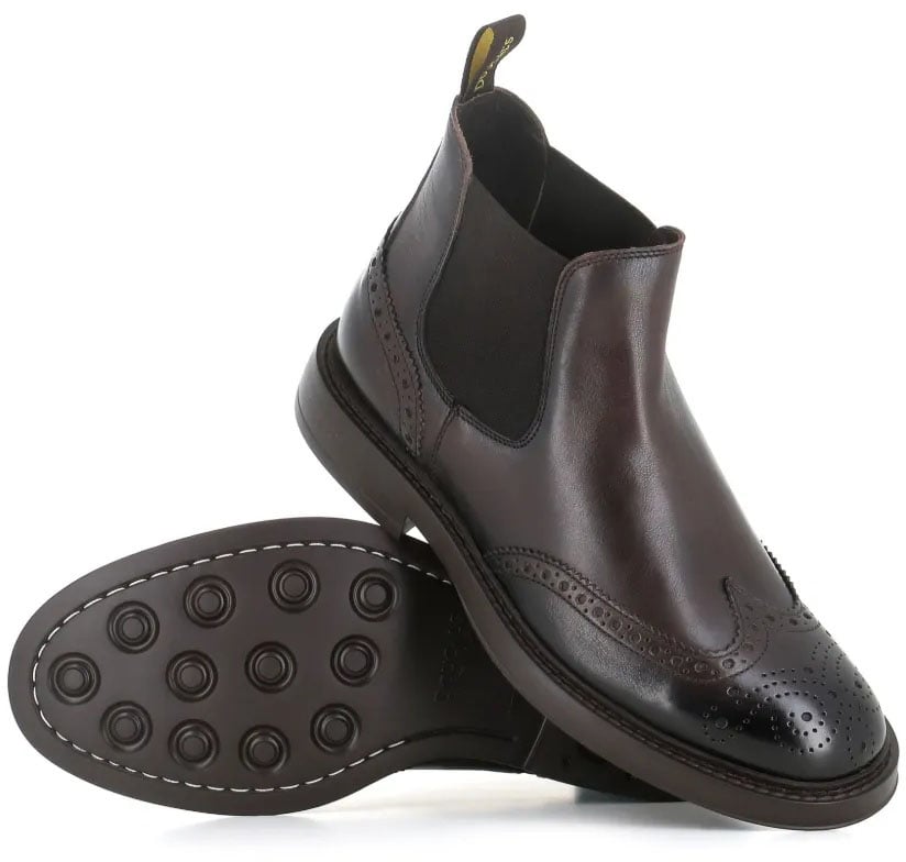 Doucal's beatles coda di rondine divers Divers