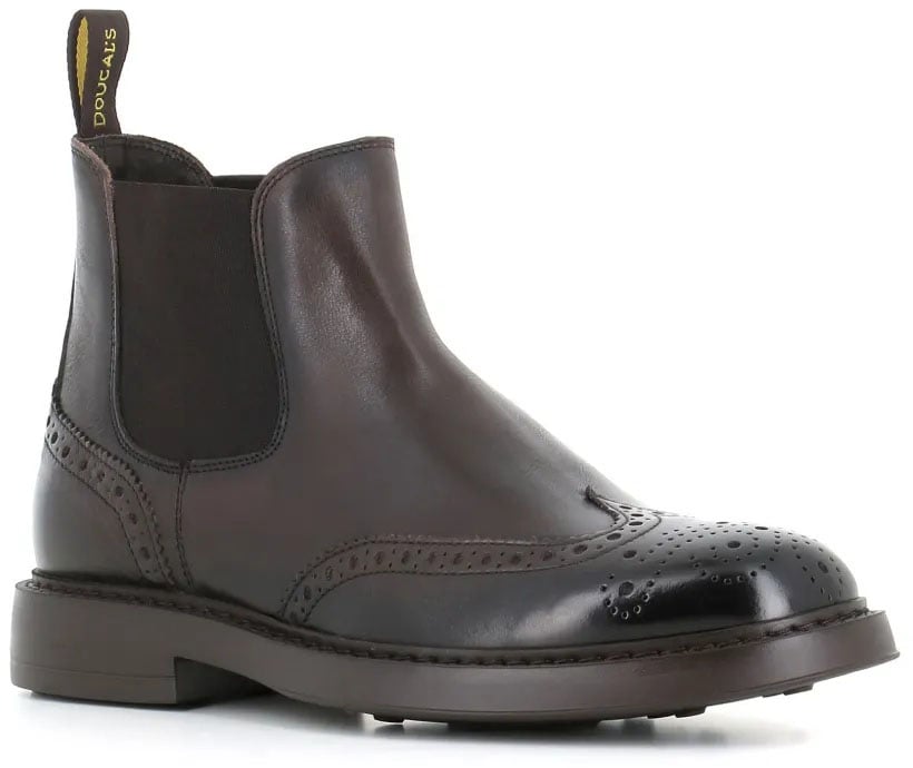 Doucal's beatles coda di rondine divers Divers