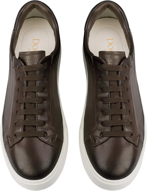 Doucal's Sneakers Brown Bruin