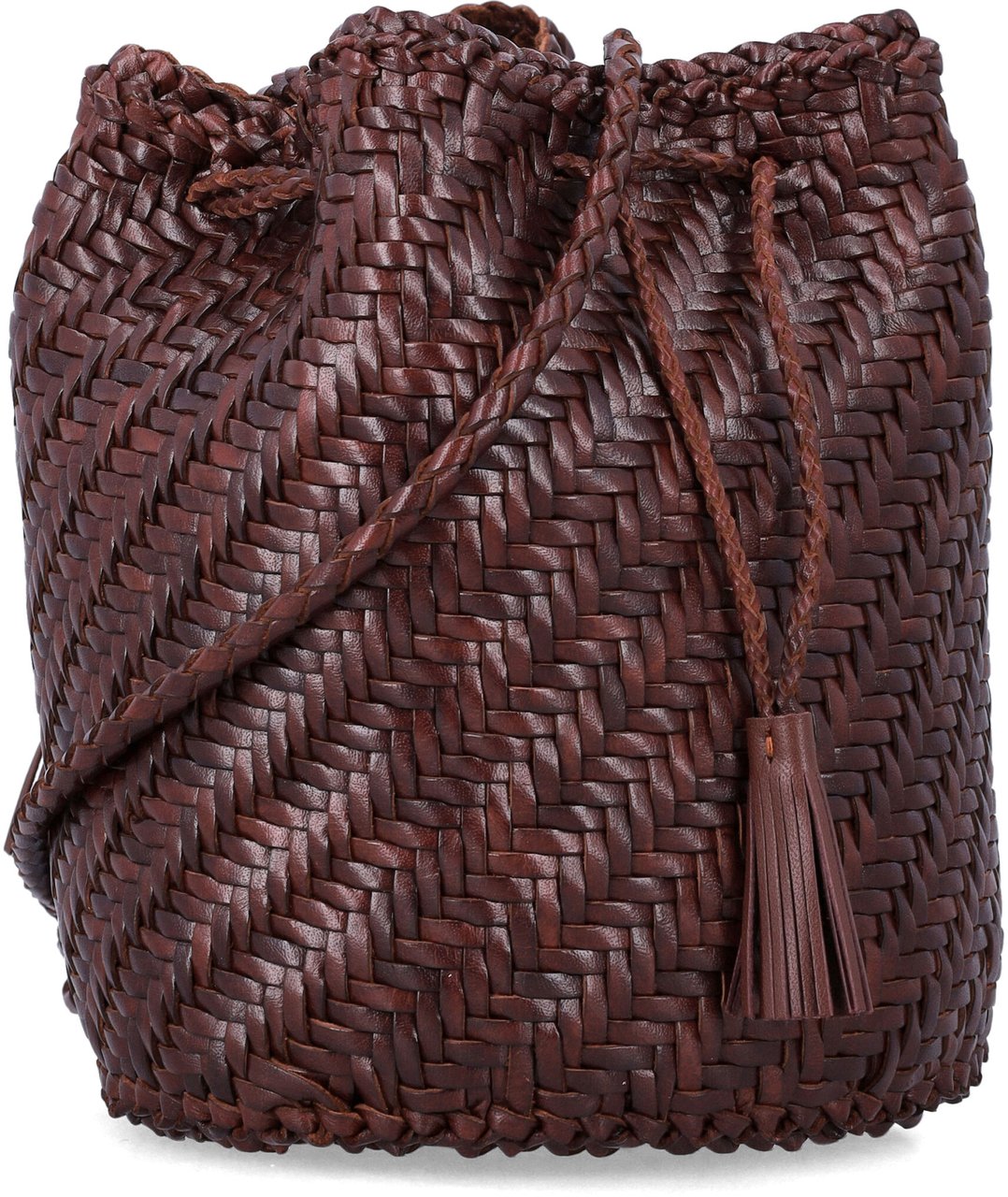 Dragon Diffusion Pompom Double Jump Marrone Bruin