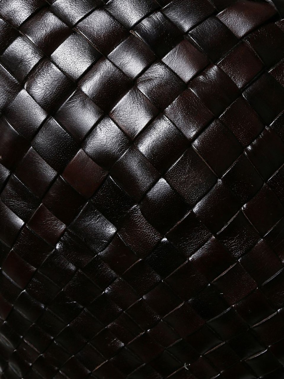 Dragon Diffusion Bags Brown Bruin